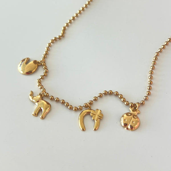 Fortune Charm Necklace