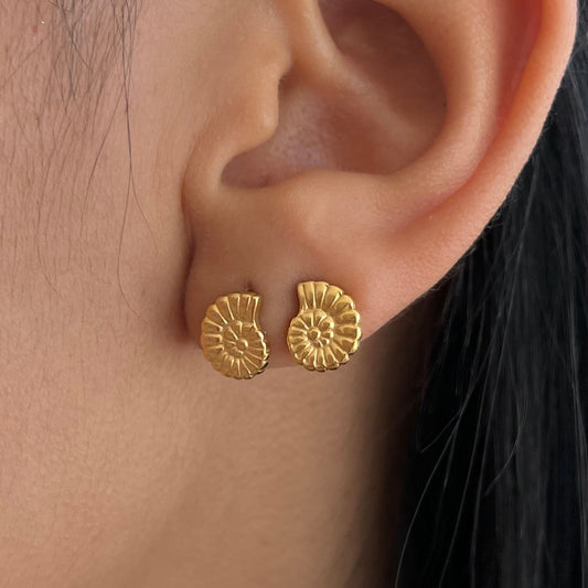 Shell Earrings
