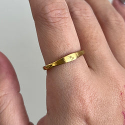 Capricornio Ring