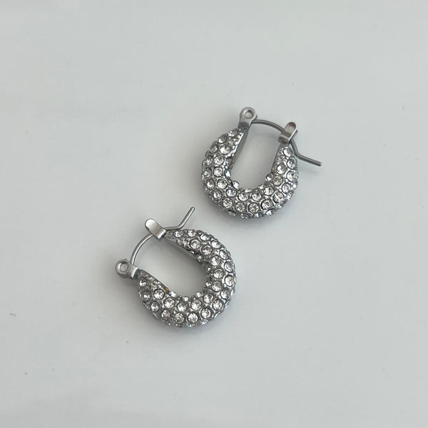 Sparkly Silver Hoops